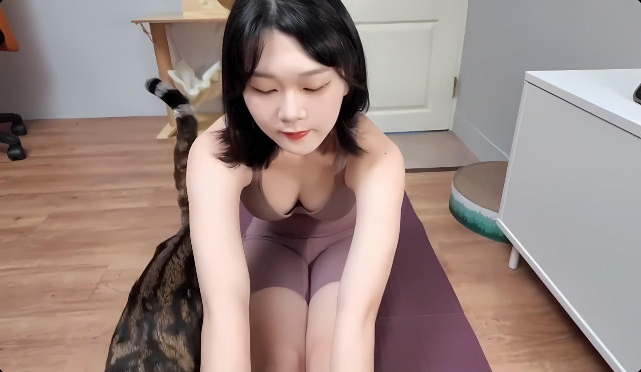 三级毛片视频-全集超清手机免费观看完整